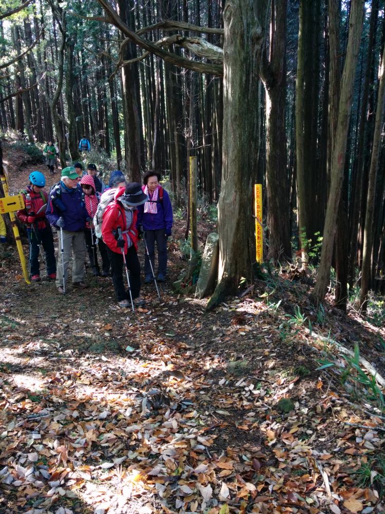 f:id:hikojima:20171112103628j:plain