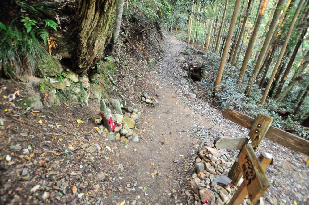 f:id:hikojima:20171112104233j:plain