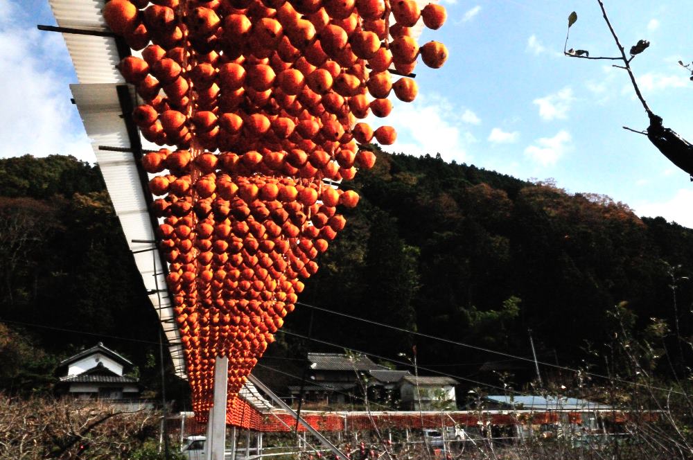 f:id:hikojima:20171112104336j:plain