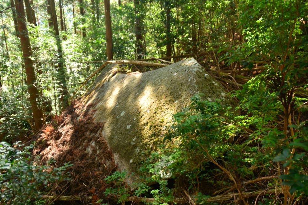 f:id:hikojima:20171215142640j:plain f:id:hikojima:20171215142640j:plain