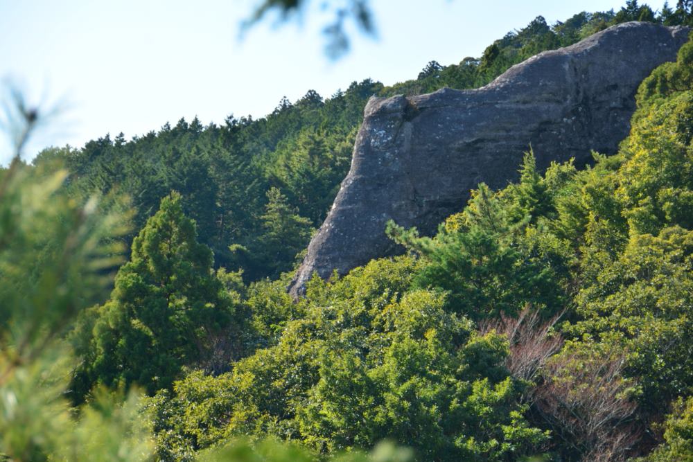 f:id:hikojima:20171215142652j:plain f:id:hikojima:20171215142652j:plain