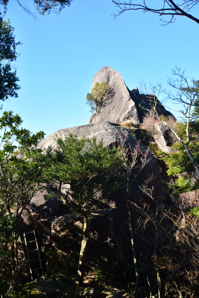 f:id:hikojima:20171215142754j:plain f:id:hikojima:20171215142754j:plain