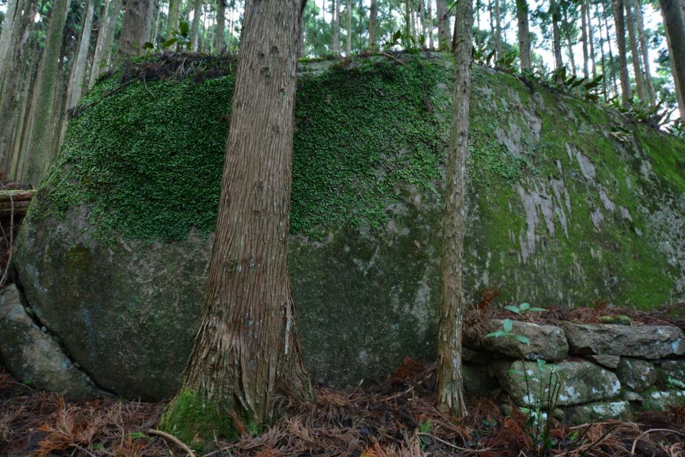 f:id:hikojima:20171215142803j:plain f:id:hikojima:20171215142803j:plain