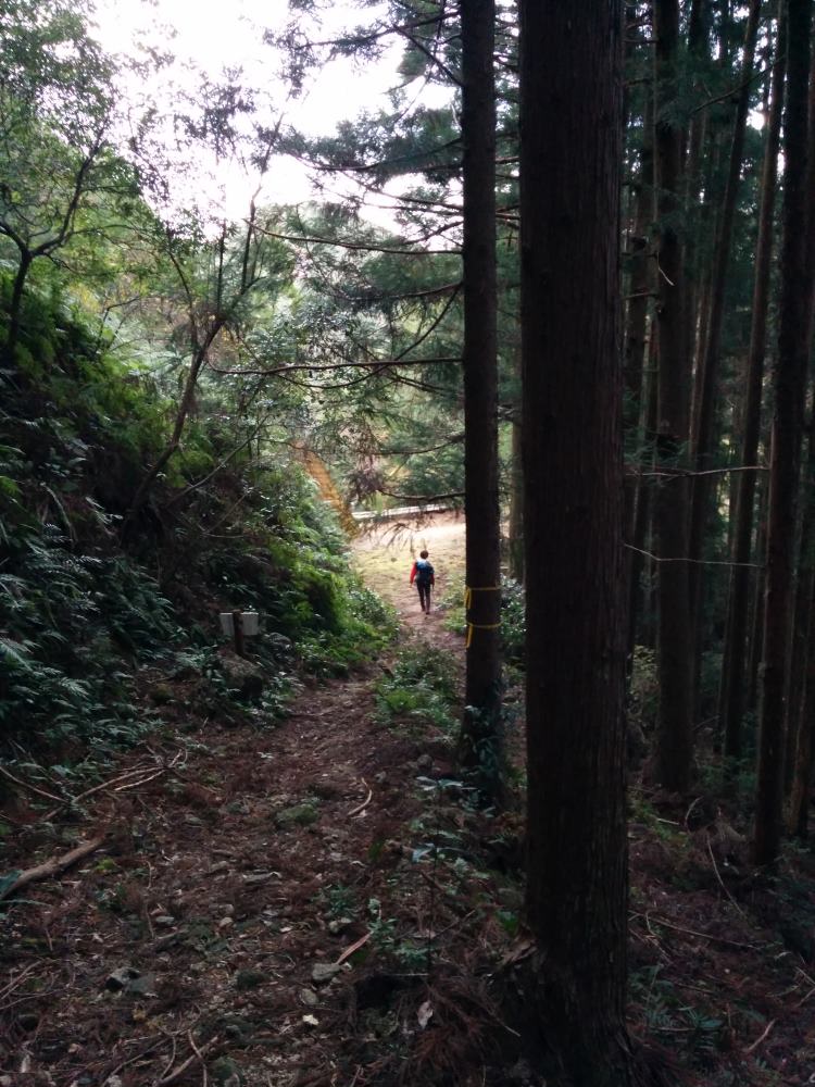 f:id:hikojima:20171215142837j:plain f:id:hikojima:20171215142837j:plain