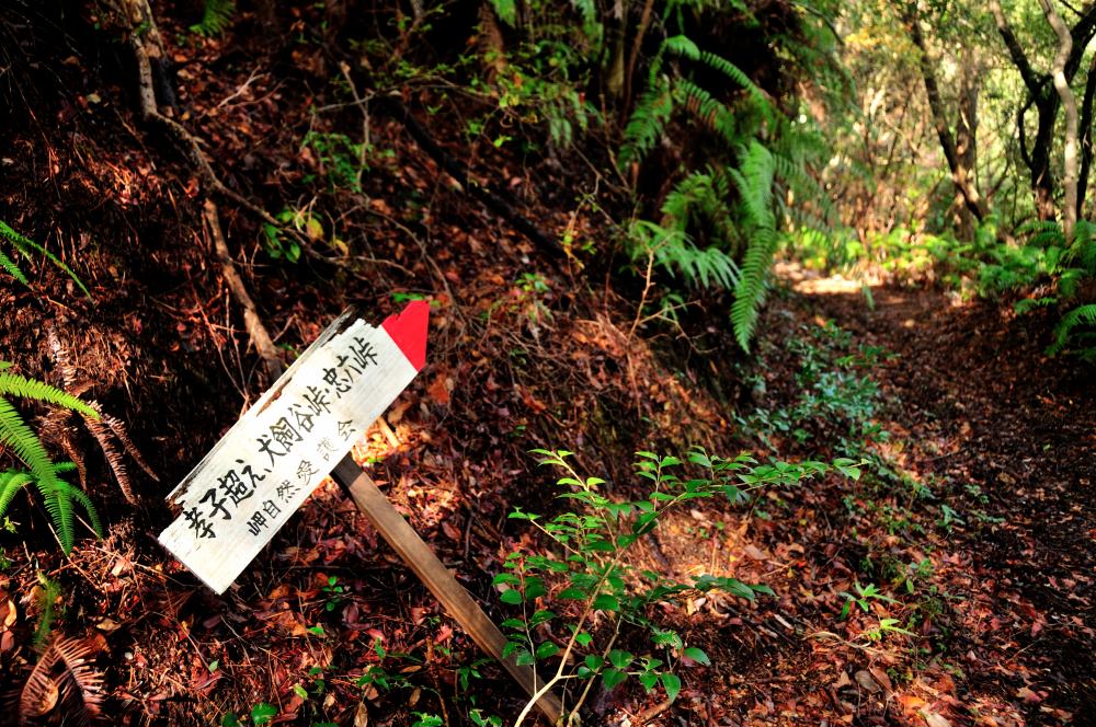 f:id:hikojima:20180118173234j:plain f:id:hikojima:20180118173234j:plain