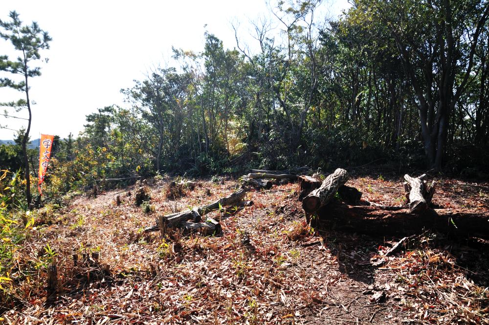 f:id:hikojima:20180118173314j:plain f:id:hikojima:20180118173314j:plain