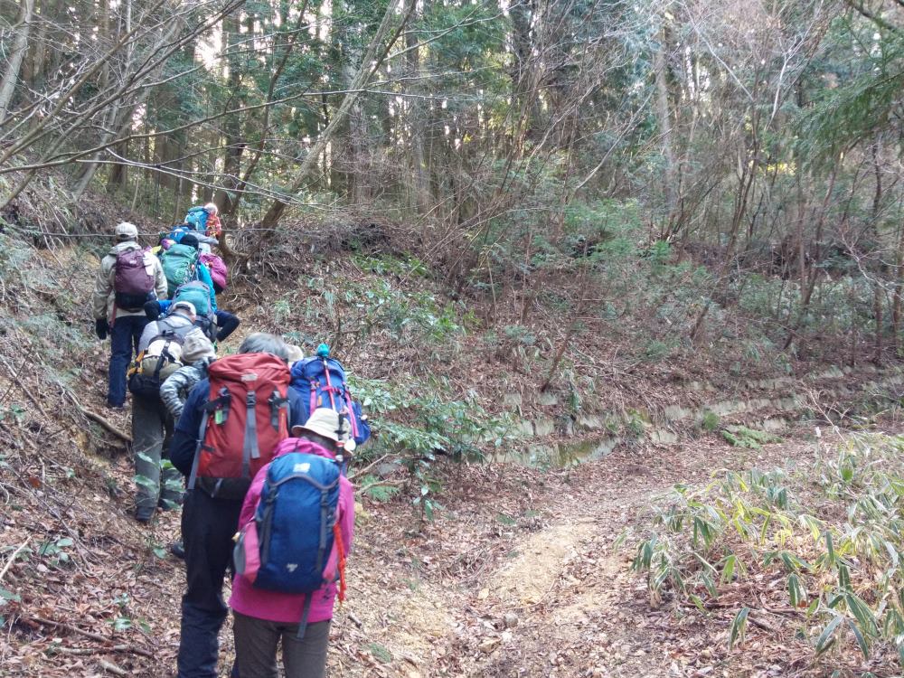 f:id:hikojima:20180122155856j:plain