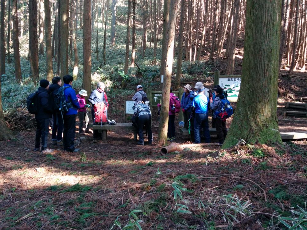 f:id:hikojima:20180122155859j:plain