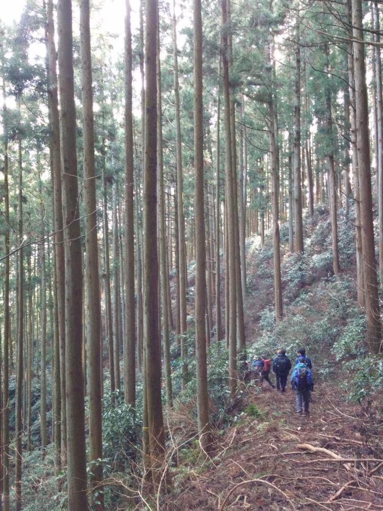 f:id:hikojima:20180122155901j:plain