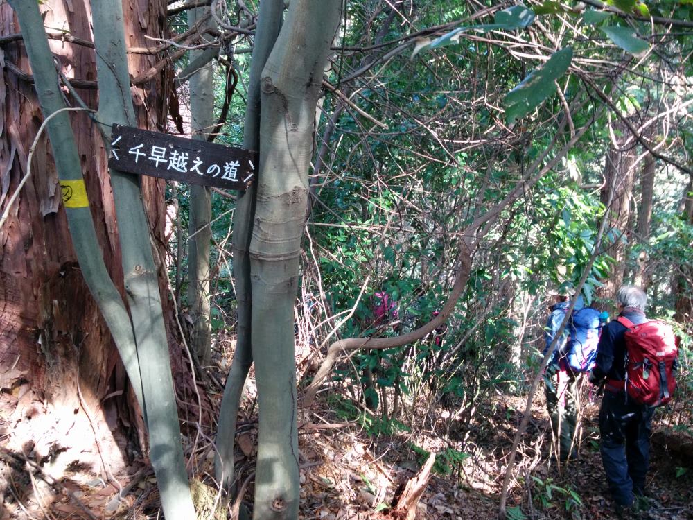 f:id:hikojima:20180122155904j:plain