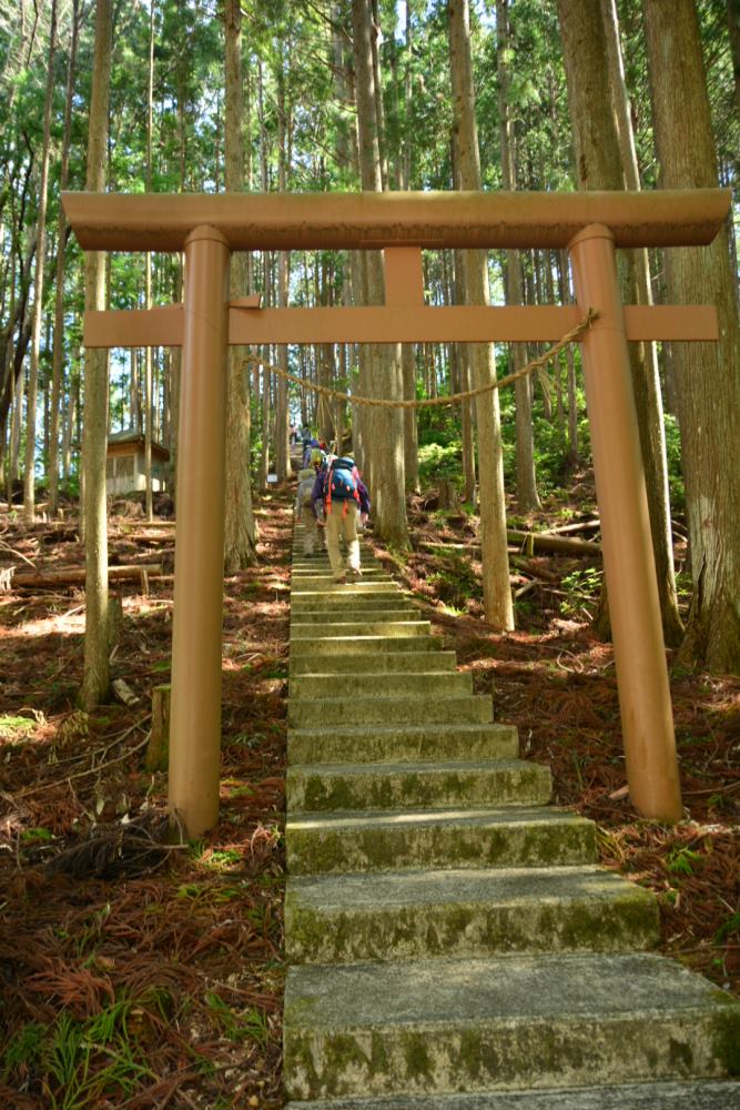 f:id:hikojima:20180326152911j:plain