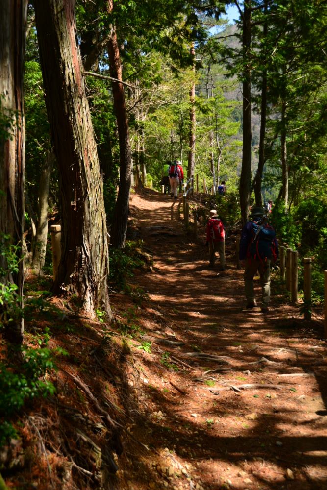 f:id:hikojima:20180326152929j:plain