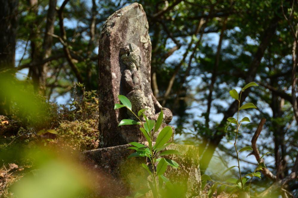 f:id:hikojima:20180326153518j:plain