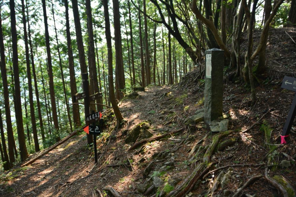 f:id:hikojima:20180326153527j:plain