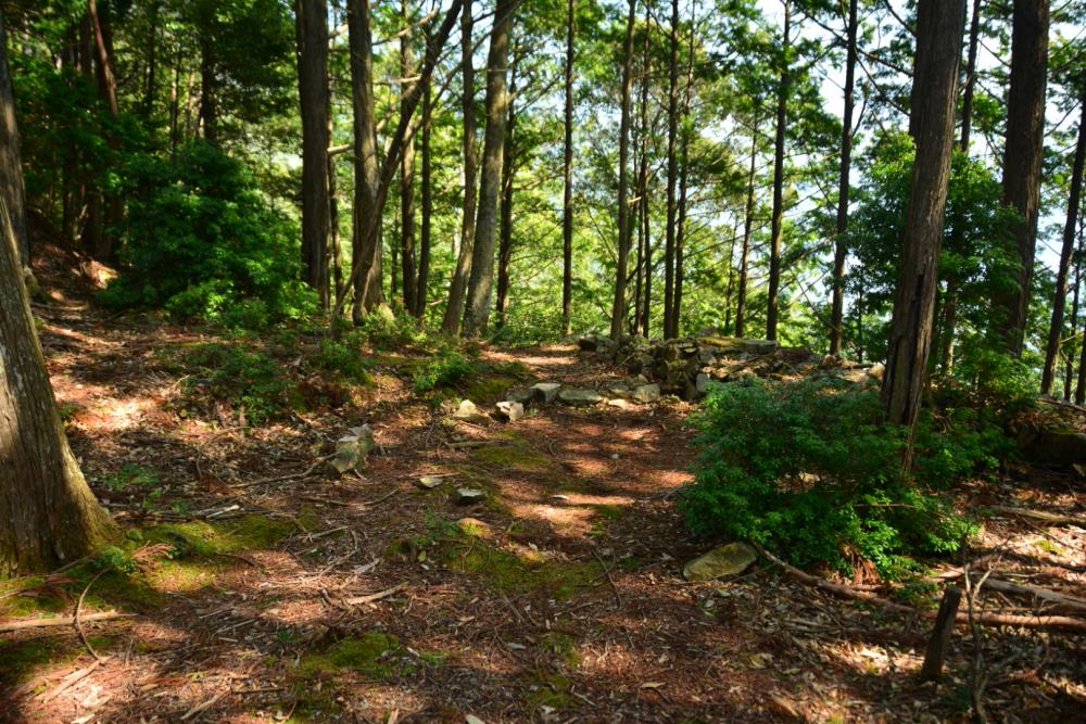 f:id:hikojima:20180326153530j:plain