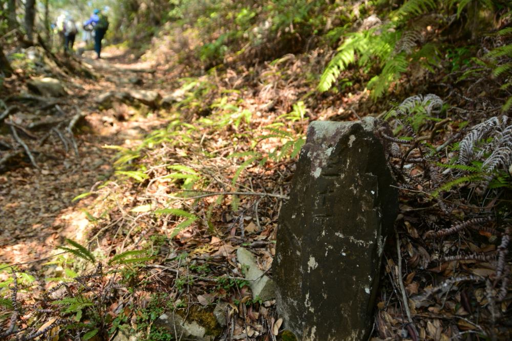 f:id:hikojima:20180326153535j:plain