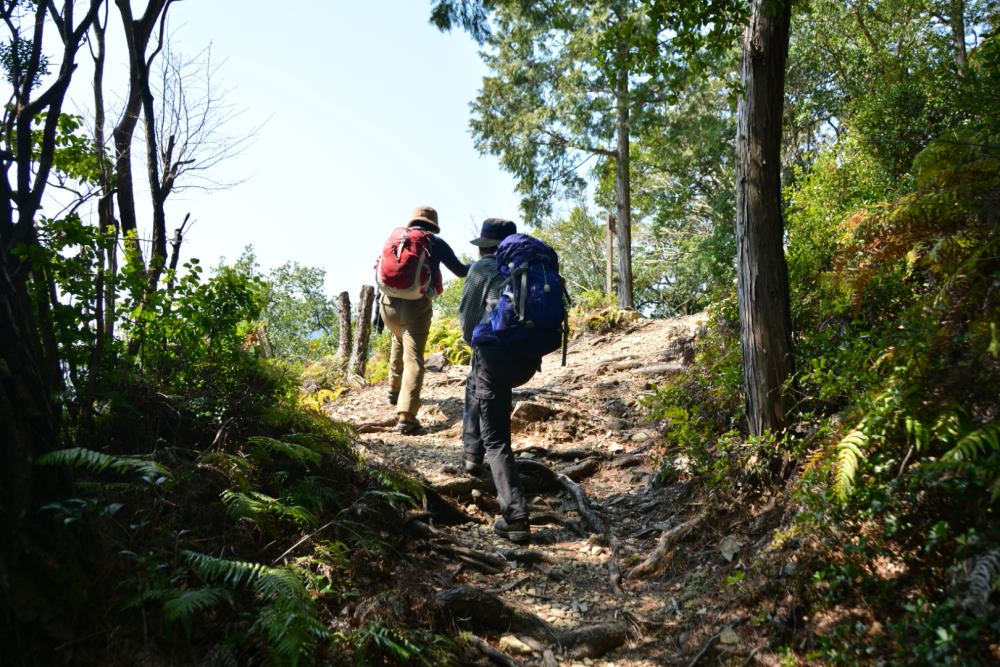 f:id:hikojima:20180326153547j:plain