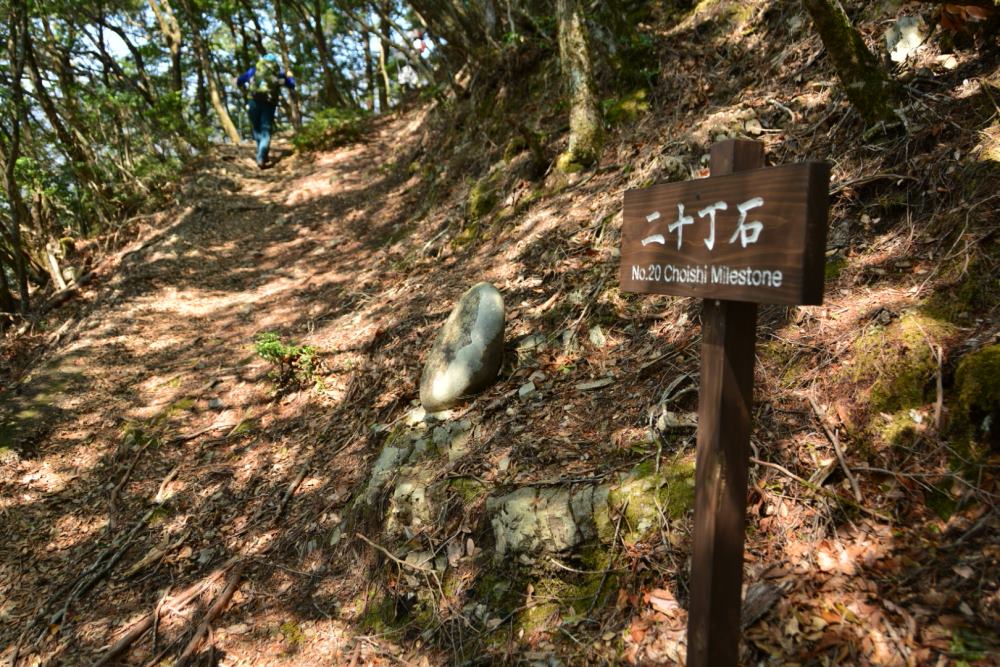 f:id:hikojima:20180326153554j:plain