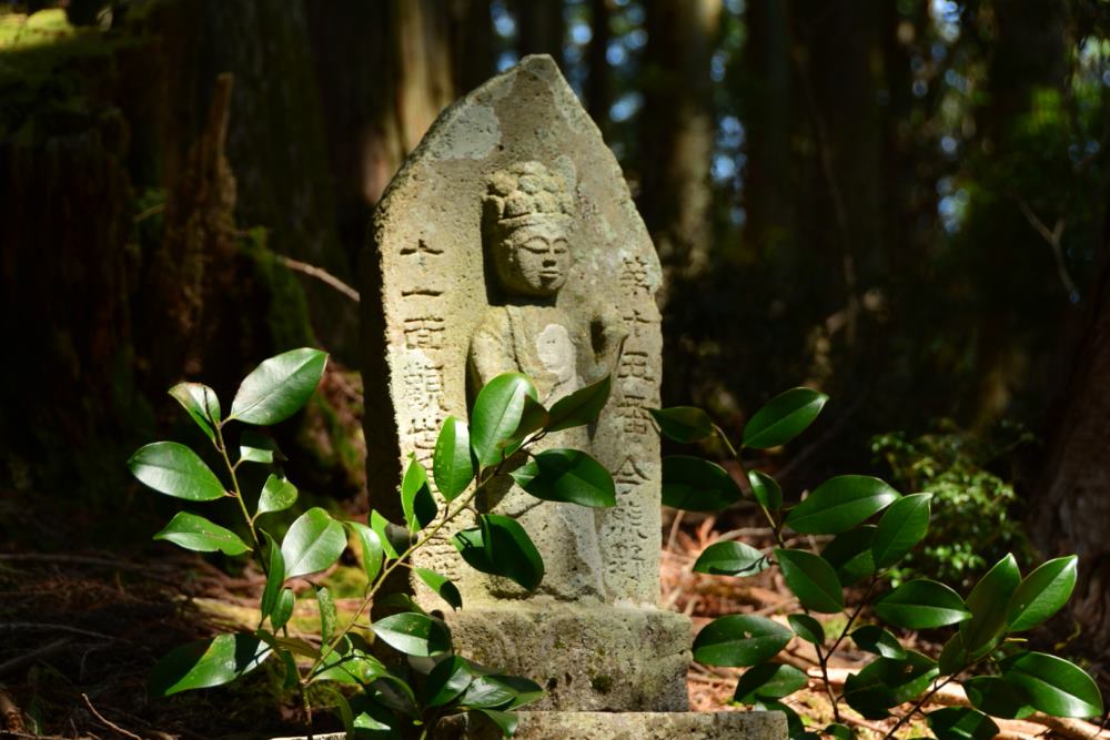 f:id:hikojima:20180326153558j:plain