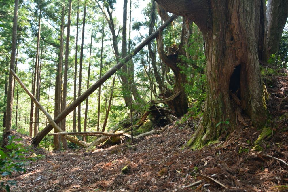 f:id:hikojima:20180326153609j:plain