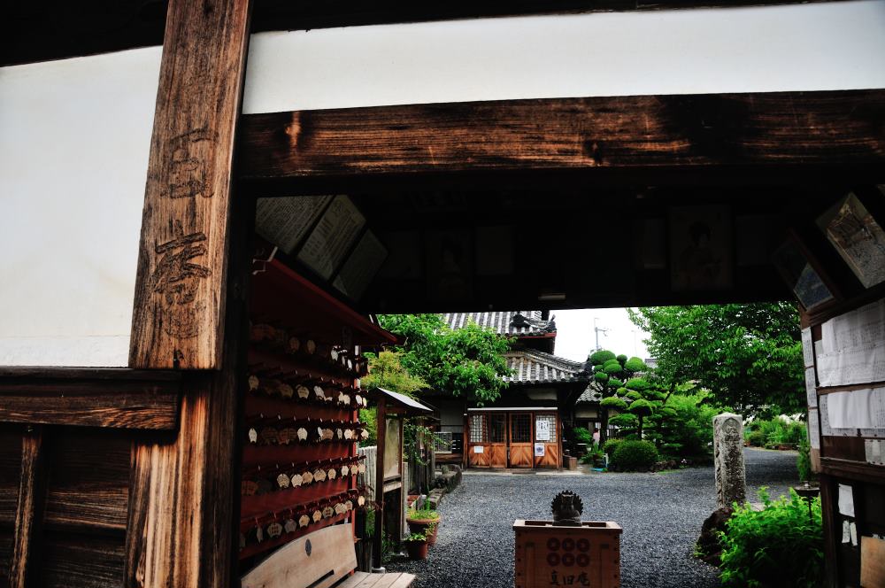 f:id:hikojima:20180625115815j:plain f:id:hikojima:20180625115815j:plain