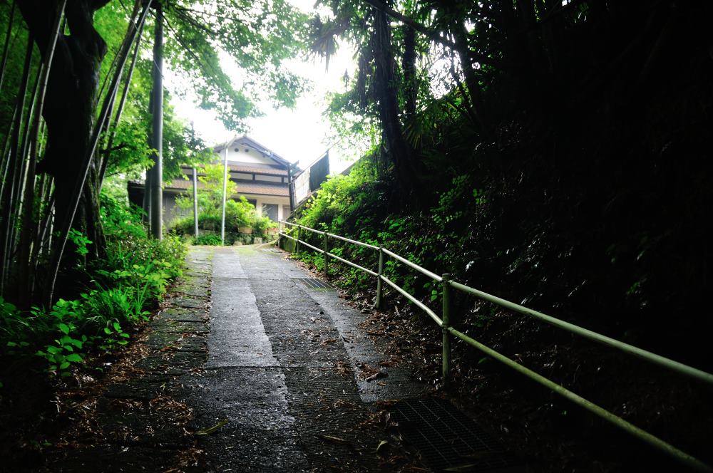 f:id:hikojima:20180625115906j:plain f:id:hikojima:20180625115906j:plain