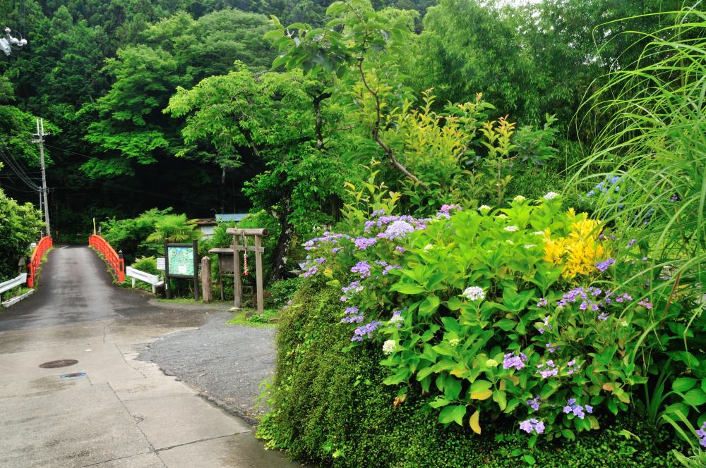 f:id:hikojima:20180625115913j:plain f:id:hikojima:20180625115913j:plain