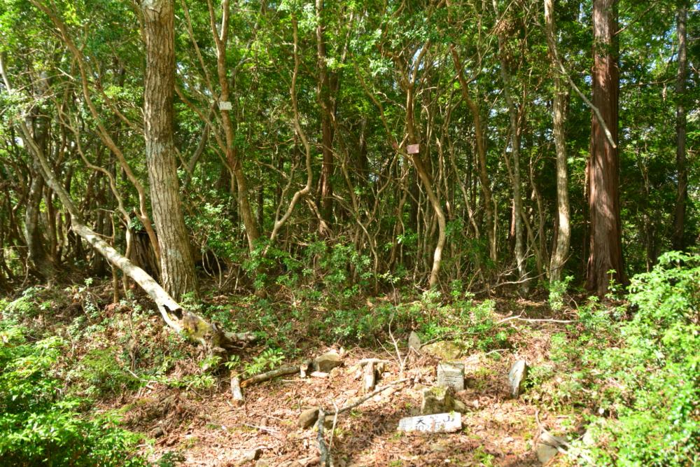 f:id:hikojima:20180920204919j:plain