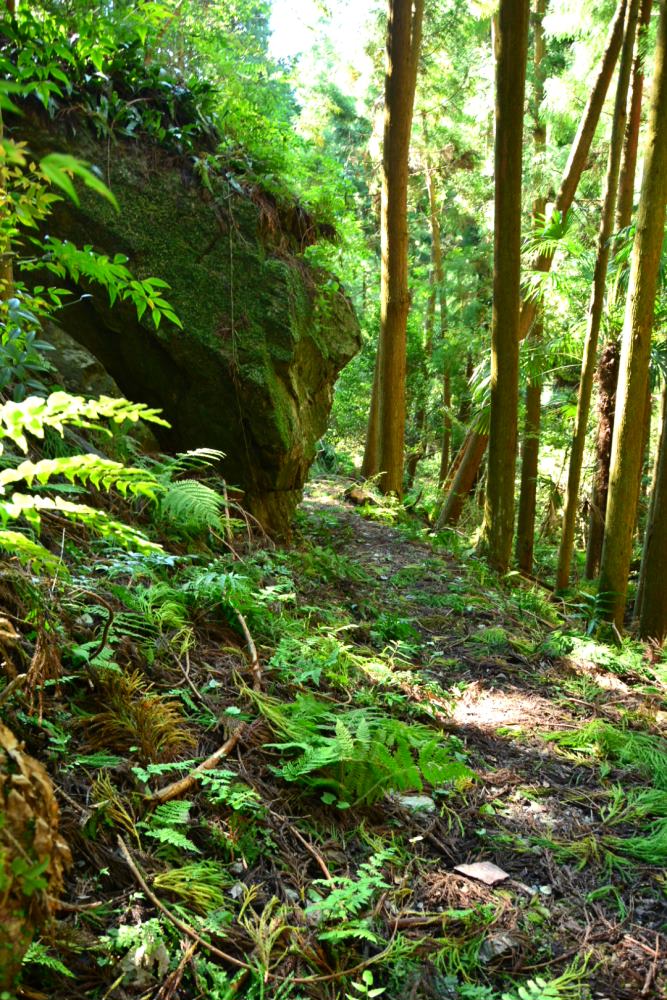 f:id:hikojima:20181004092728j:plain