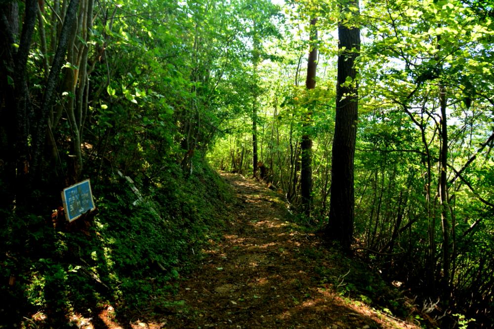 f:id:hikojima:20181004092744j:plain