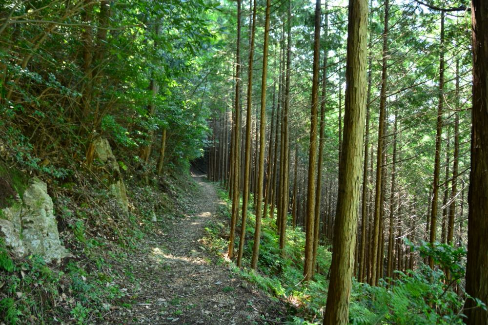 f:id:hikojima:20181004092750j:plain