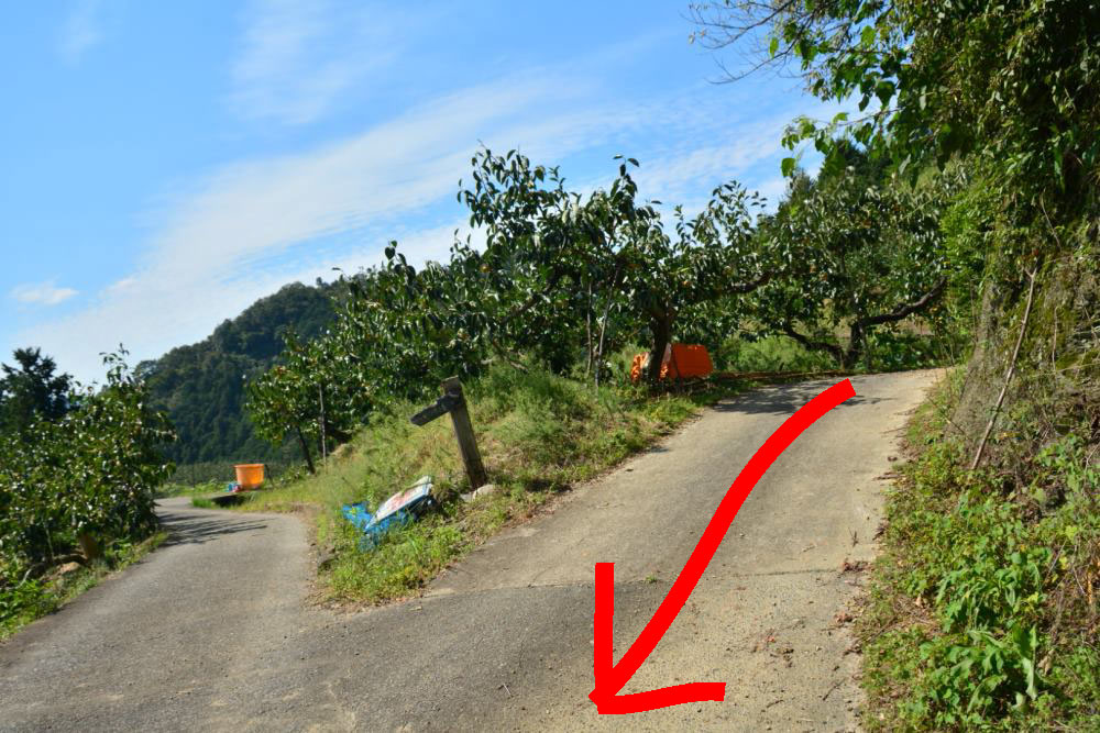 f:id:hikojima:20181004093348j:plain