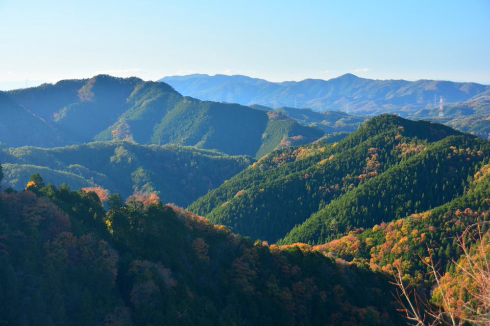 f:id:hikojima:20181125145453j:plain