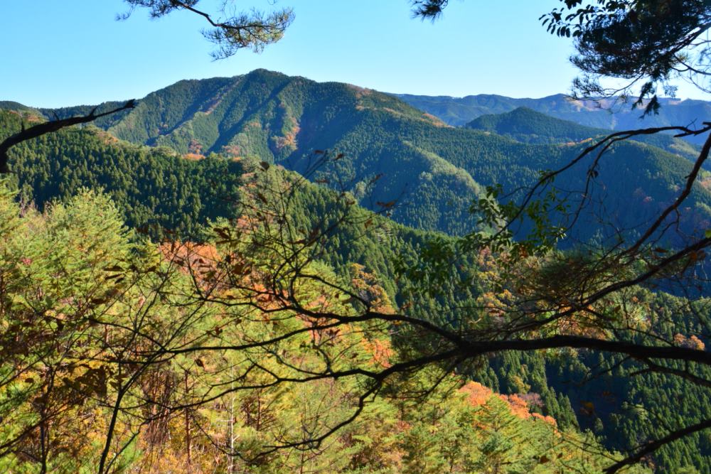 f:id:hikojima:20181125145559j:plain