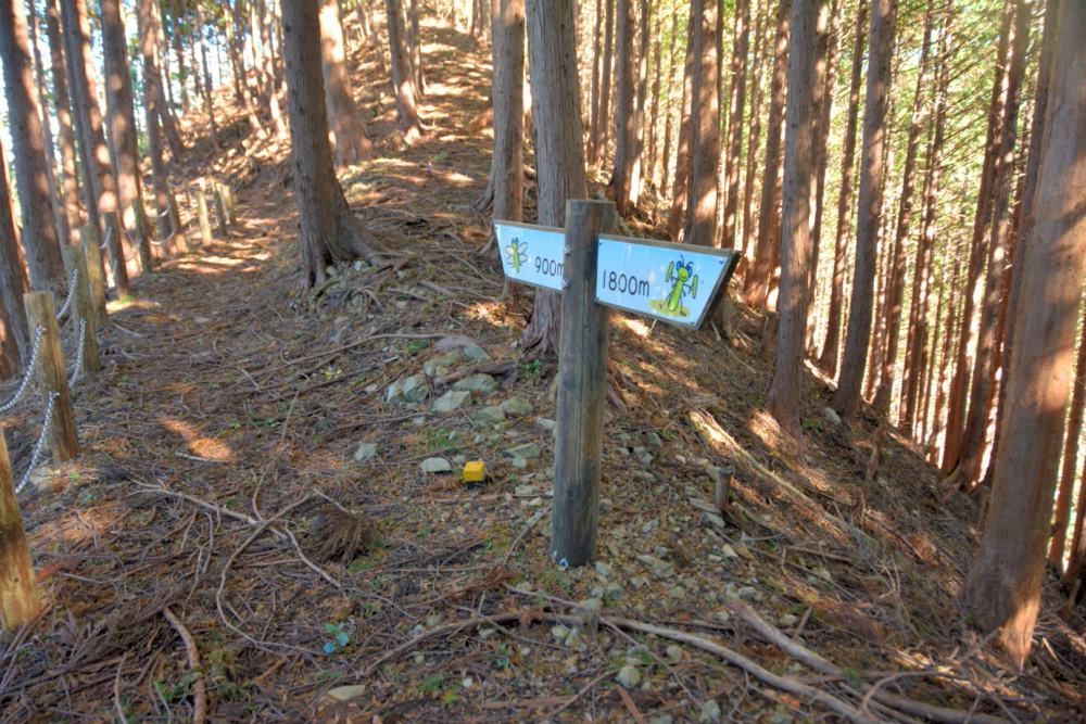 f:id:hikojima:20181125145602j:plain