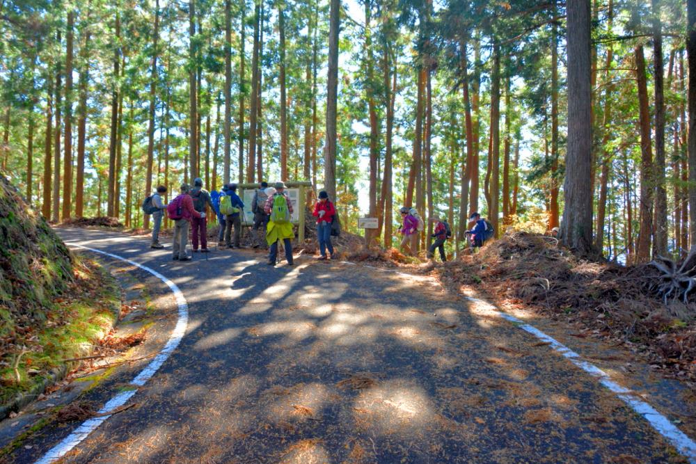 f:id:hikojima:20181125145604j:plain