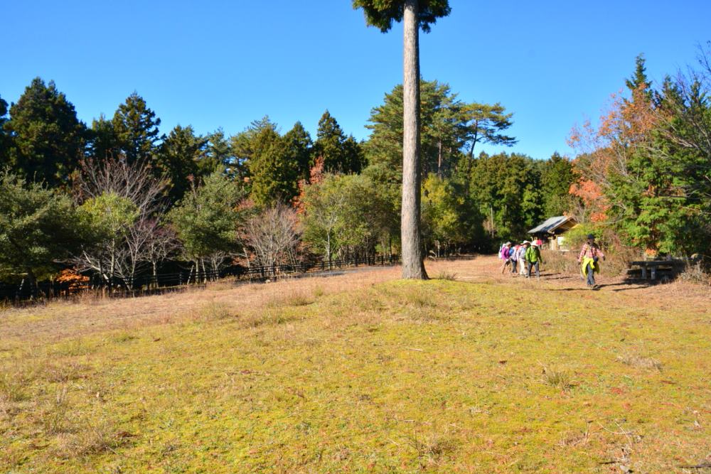 f:id:hikojima:20181125145614j:plain