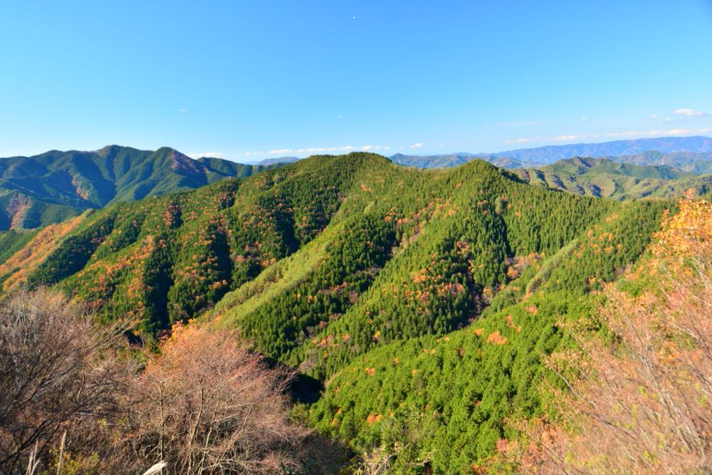 f:id:hikojima:20181125145615j:plain