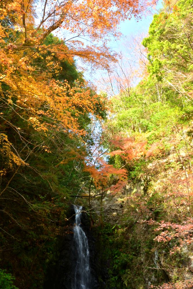 f:id:hikojima:20181203131358j:plain