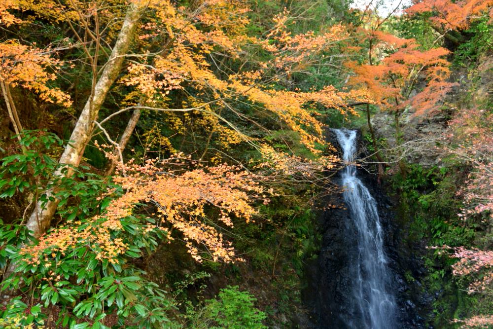 f:id:hikojima:20181203131402j:plain