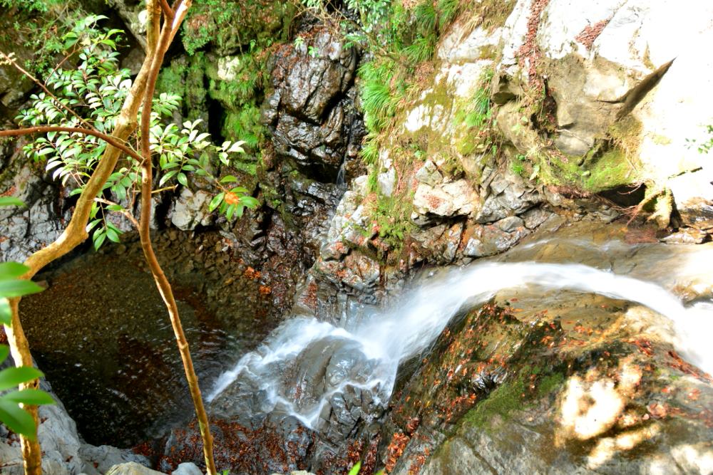 f:id:hikojima:20181203131406j:plain