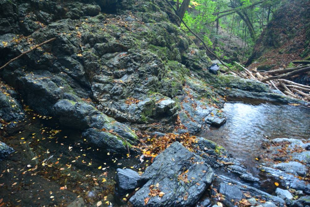 f:id:hikojima:20181203131546j:plain