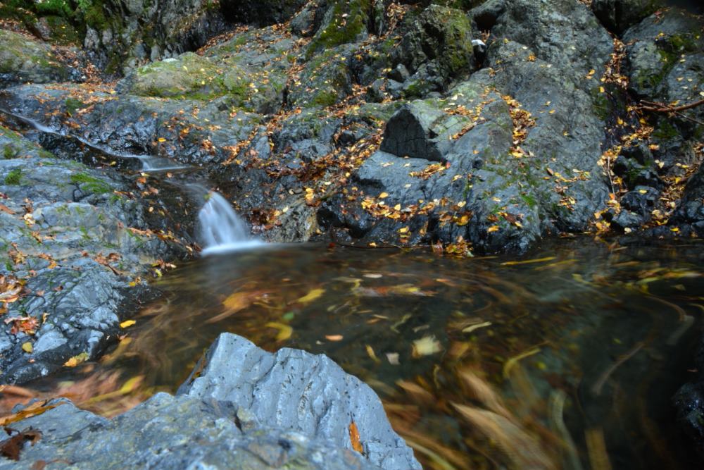 f:id:hikojima:20181203131656j:plain