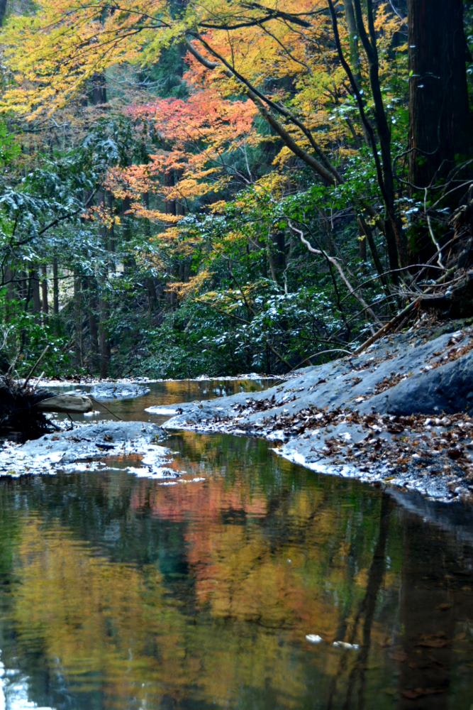 f:id:hikojima:20181203131659j:plain