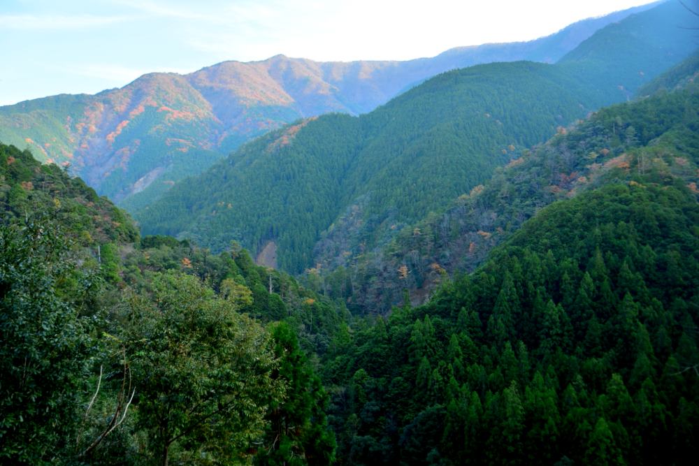 f:id:hikojima:20181203131911j:plain