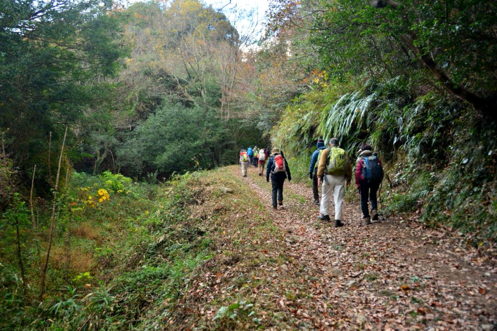 f:id:hikojima:20181209103847j:plain f:id:hikojima:20181209103847j:plain