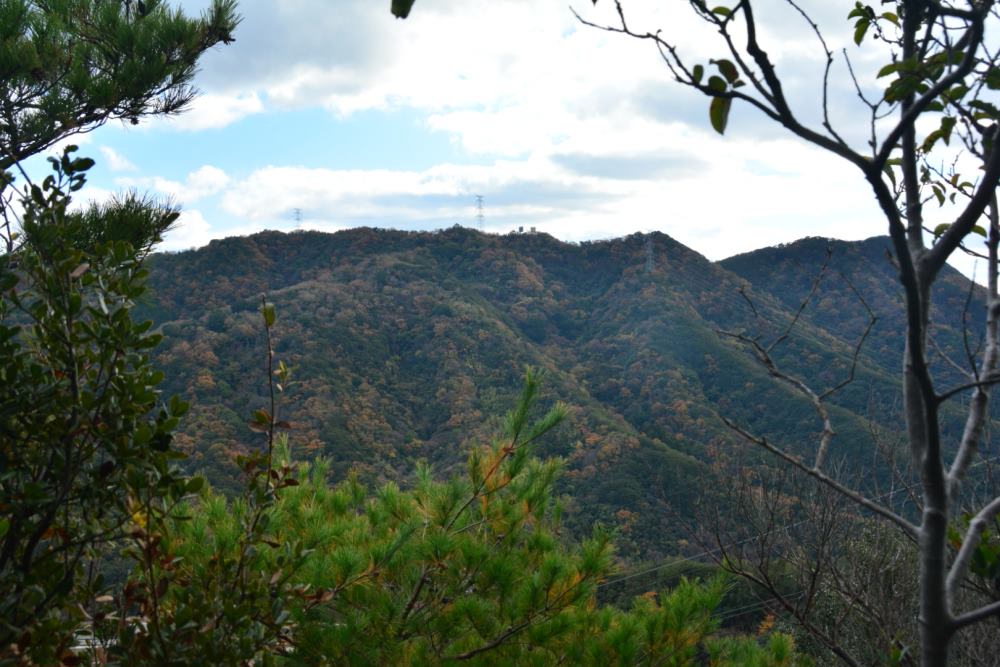 f:id:hikojima:20181209103904j:plain f:id:hikojima:20181209103904j:plain