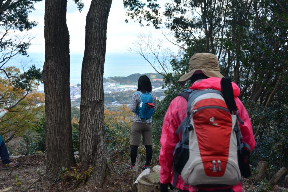 f:id:hikojima:20181209103917j:plain f:id:hikojima:20181209103917j:plain