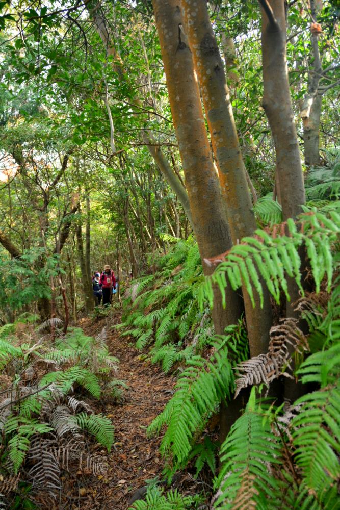 f:id:hikojima:20181209103942j:plain f:id:hikojima:20181209103942j:plain