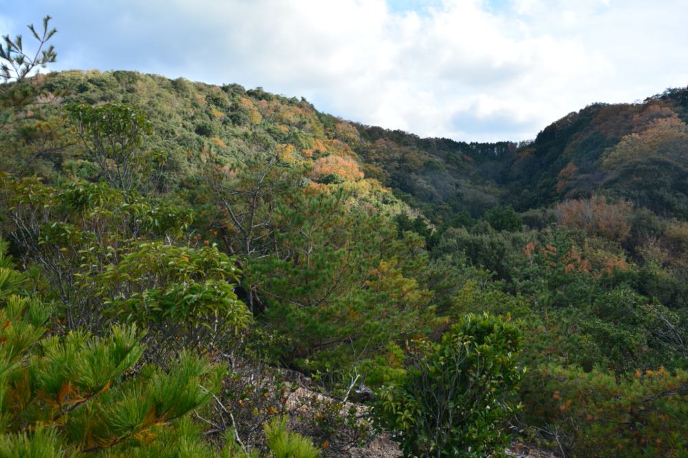 f:id:hikojima:20181209103959j:plain f:id:hikojima:20181209103959j:plain